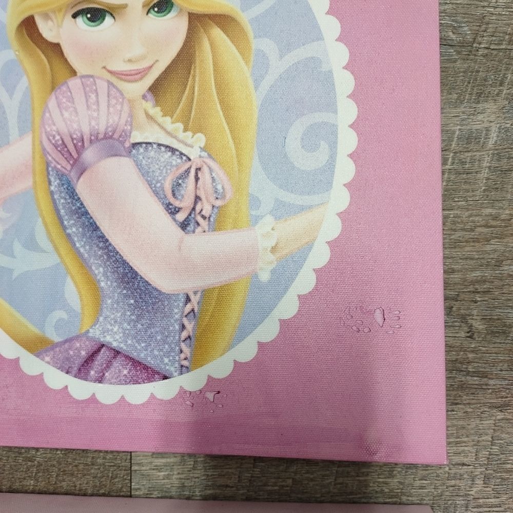 Disney Princess Frames - Picture 8 of 10